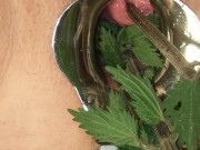 BDSM Pussy Torture - Speculum Stretched Nettles in her Peehole & Vagina Till she pisses herself 14/16