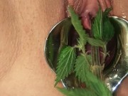 BDSM Pussy Torture - Speculum Stretched Nettles in her Peehole & Vagina Till she pisses herself 3/16
