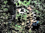 goddess gloria slap joschin in woods 1/16