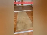 Laure Raccuzo 100% reel - elle se tape des inconnus !  7/16