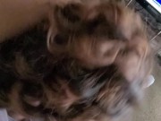 Dicksucker the head bobber drains dick 4/16