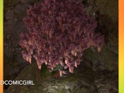 The Princess and the Tree of Thousand and One Dicks - Disney Parody Porn Cartoon (Part 1) 7/16