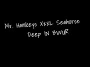Bwur takes on Hankeys Toy XXXL Seahorse  1/16