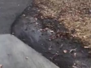 36th Sheridan bbw wanted some new strap  1/16