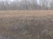 Former gymnast, pixie in public freshly fucked with her slutty ass up 10/16