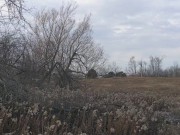 Former gymnast, pixie in public freshly fucked with her slutty ass up 11/16