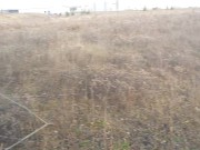 Former gymnast, pixie in public freshly fucked with her slutty ass up 12/16