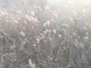 Former gymnast, pixie in public freshly fucked with her slutty ass up 8/16