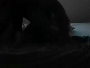 100% Amateur (2) 14/16