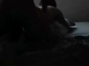 100% Amateur (2) 16/16