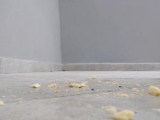 Lady Nymphelin breaks things all for you 12/16