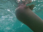 Snorkeling in reef 14/16