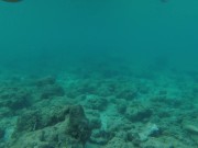 Snorkeling in reef 8/16