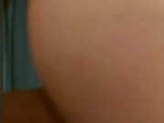 Scopata pecorina 10/16