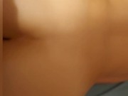 Scopata pecorina 8/16