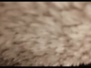 PrettyTitties takes on BBC 8/16