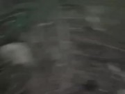 Sexo En El Bosque 1/16