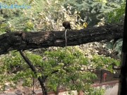 Eagle And Dani Enjoying Breakfast At Same Time Watching Naked Angel Fowler 1/16