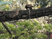 Eagle And Dani Enjoying Breakfast At Same Time Watching Naked Angel Fowler 11/16