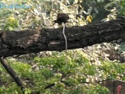Eagle And Dani Enjoying Breakfast At Same Time Watching Naked Angel Fowler 12/16