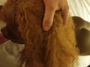 Whole scene ebony hookup POV doggy reverse cowgirl face fuck interracial awesome scene 2/16