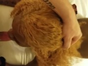 Whole scene ebony hookup POV doggy reverse cowgirl face fuck interracial awesome scene 3/16