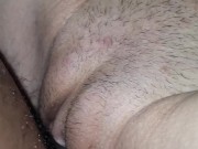 The pussy on the table 16/16