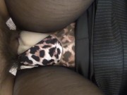 Japanese amateur boy, cumshot on blindfolded big boobs love doll! 15/16