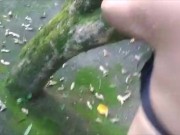 Making Out in the (Wet) Park 10/16