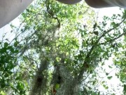 Risky public park masturbation! 12/16