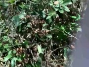 Risky public park masturbation! 8/16