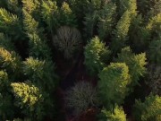 Nature Got Me Horny - Outdoor Quickie - Real Amateur 2/16