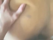 Cougar Bait - Dino Diamond 10/16