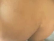 Cougar Bait - Dino Diamond 15/16