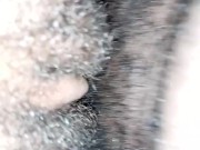 Sexing that Fat Jamaican Pussy 16/16