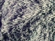 Behind the scenes 15/16