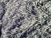 Behind the scenes 16/16