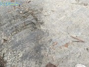 Man Peeing Girl Holding Dick on Snow Mountain 12/16