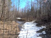 Голая русская девушка гуляет в лесу весной 16/16