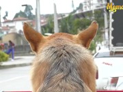 CarneDelMercado - Melissa Lujan Kinky Colombian Babe Picked For A Quick Fuck With Agent 1/16