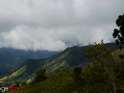 walk in the park ended in cumshot 3/16