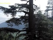 Walk with Angel Fowler to Waterfall on Mountains 1/16