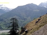 Walk with Angel Fowler to Waterfall on Mountains 13/16