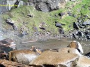 Walk with Angel Fowler to Waterfall on Mountains 15/16