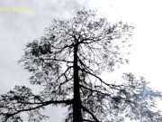 Walk with Angel Fowler to Waterfall on Mountains 2/16