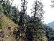 Walk with Angel Fowler to Waterfall on Mountains 4/16