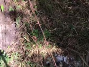 Su primera vez teniendo sexo al aire libre 15/16