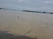 Shibari y fetiche sexo real 1/16