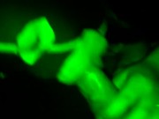 fumando crack para después echarle humo en es verga gorda y rica 16/16