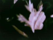 CUTE COUPLE SEX: ROMANTIC AFTER RAVE 1/16